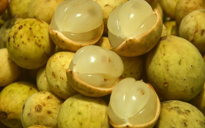 Bòn bon là quả gì? Công dụng của loại quả này với sức khỏe con người